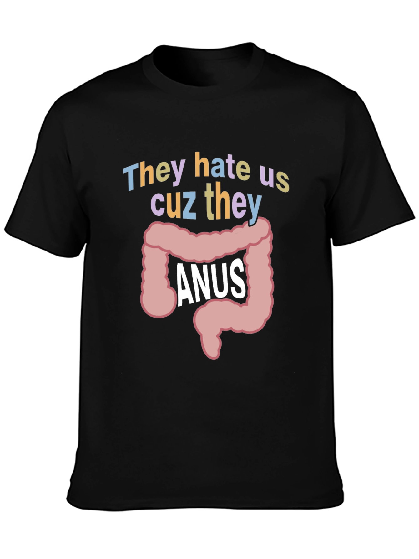 Anus Graphic T-Shirt: They Hate Us Funny Tee