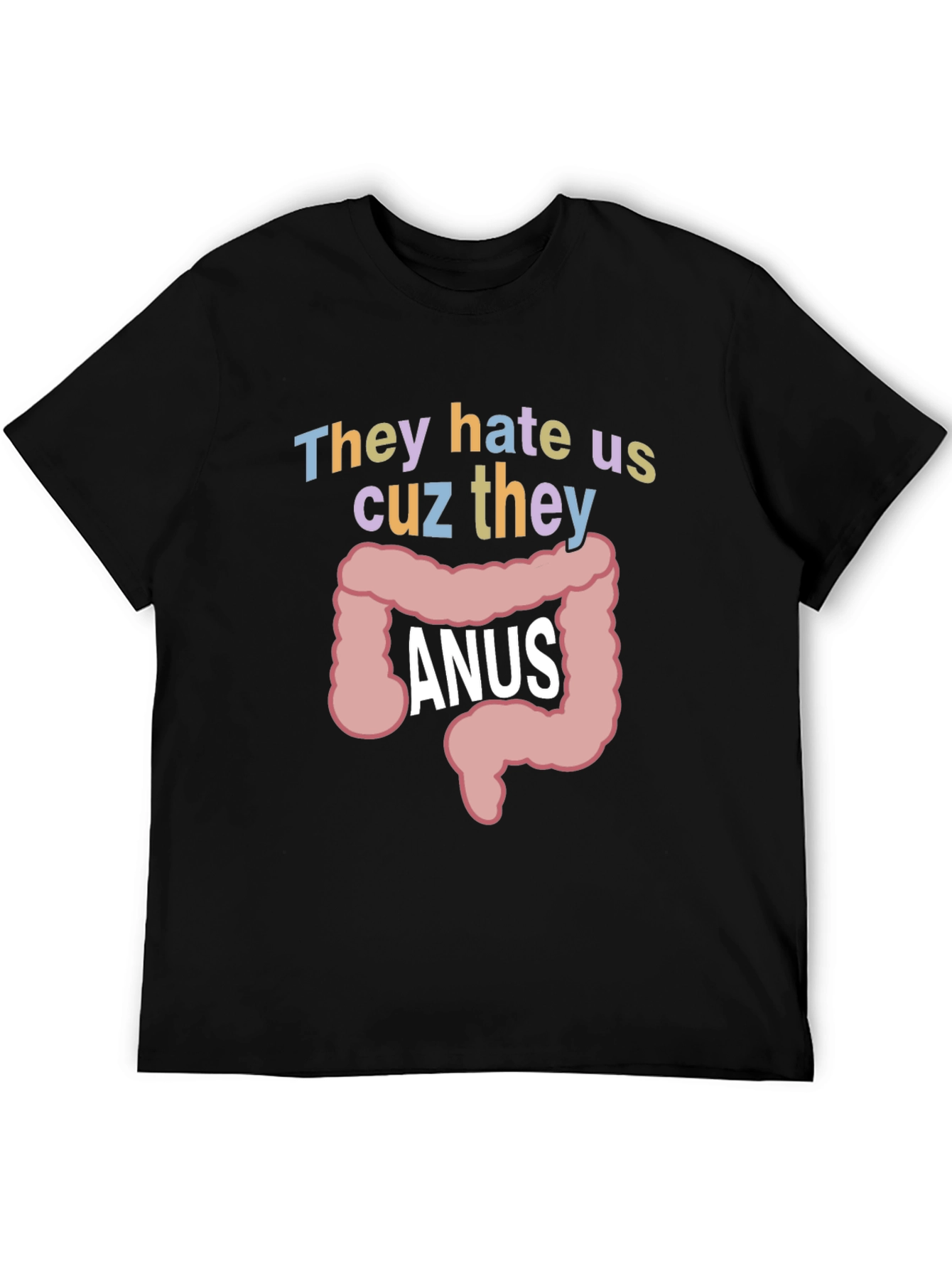 Anus Graphic T-Shirt: They Hate Us Funny Tee