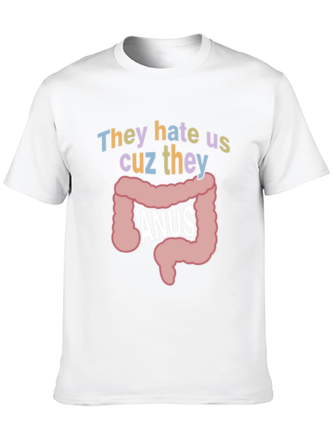 Anus Graphic T-Shirt: They Hate Us Funny Tee
