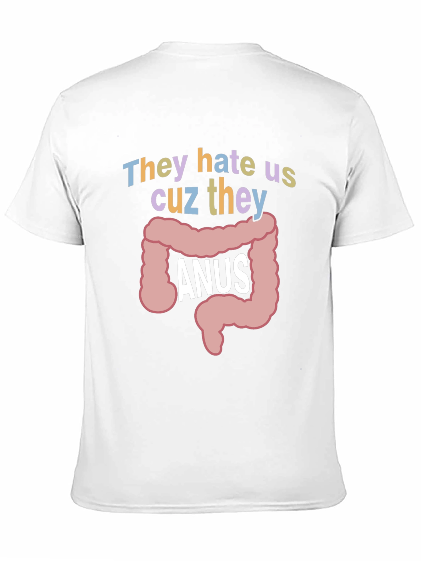 Anus Graphic T-Shirt: They Hate Us Funny Tee