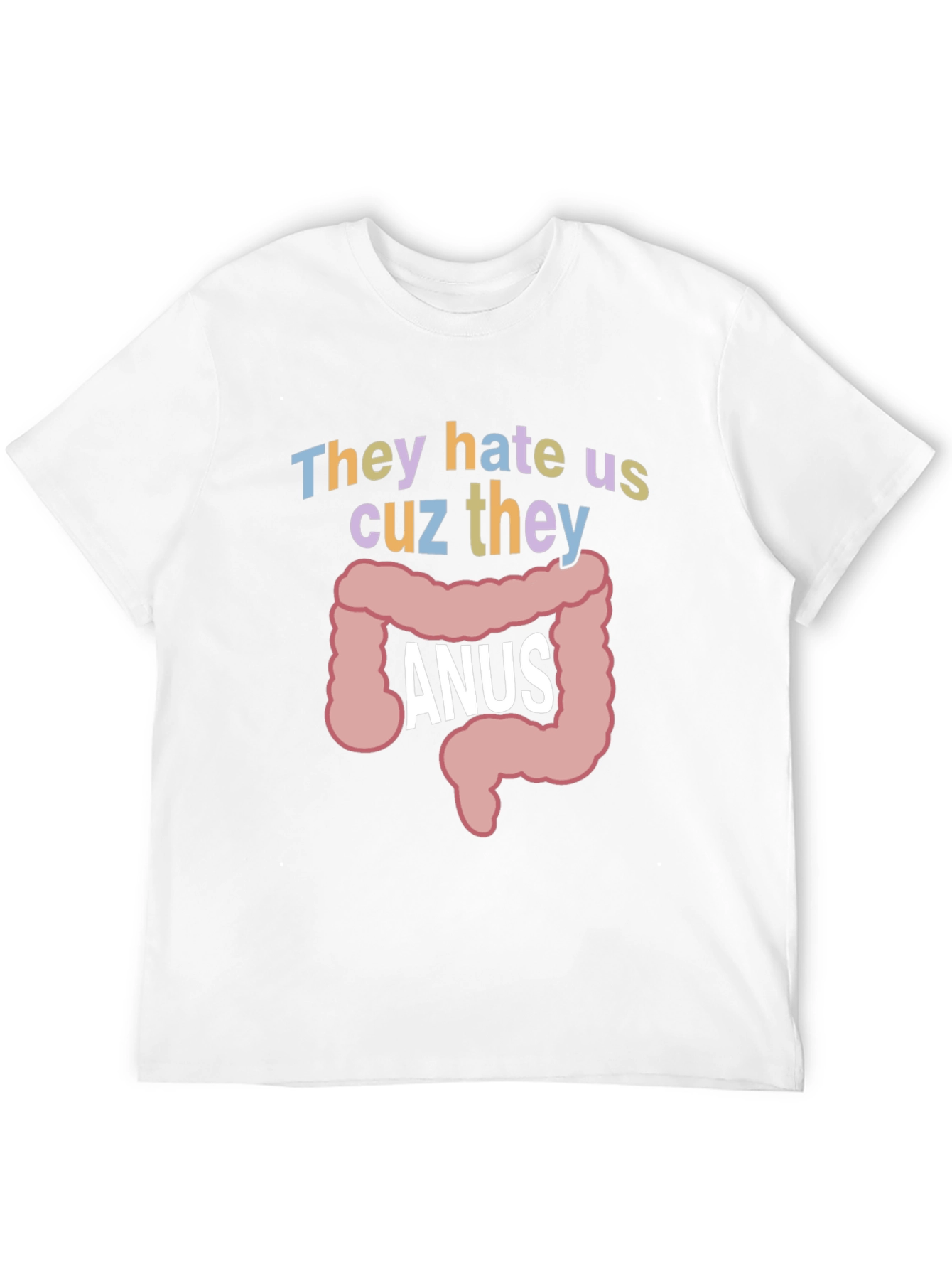 Anus Graphic T-Shirt: They Hate Us Funny Tee