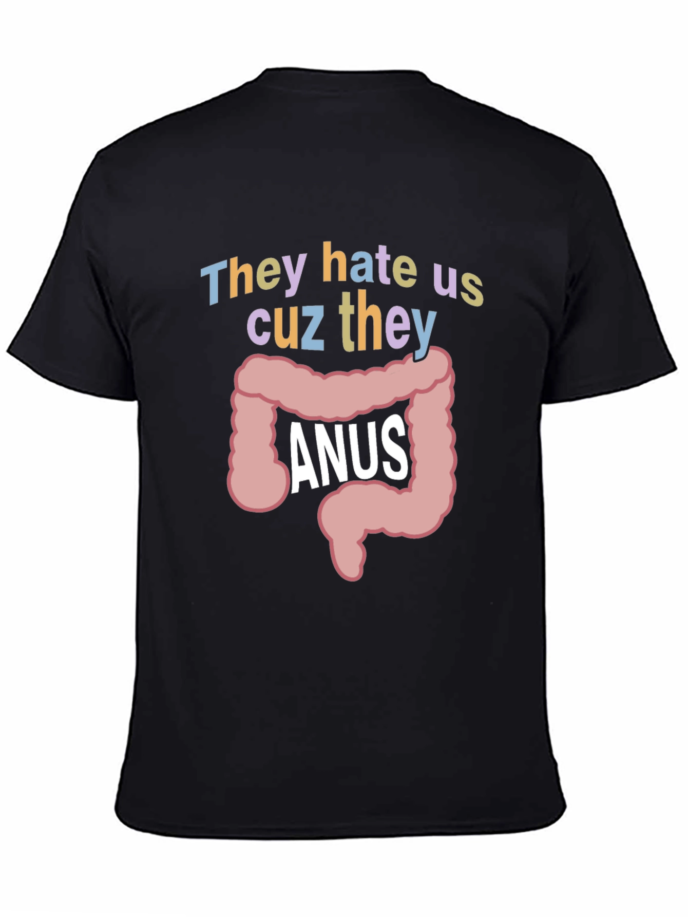 Anus Graphic T-Shirt: They Hate Us Funny Tee