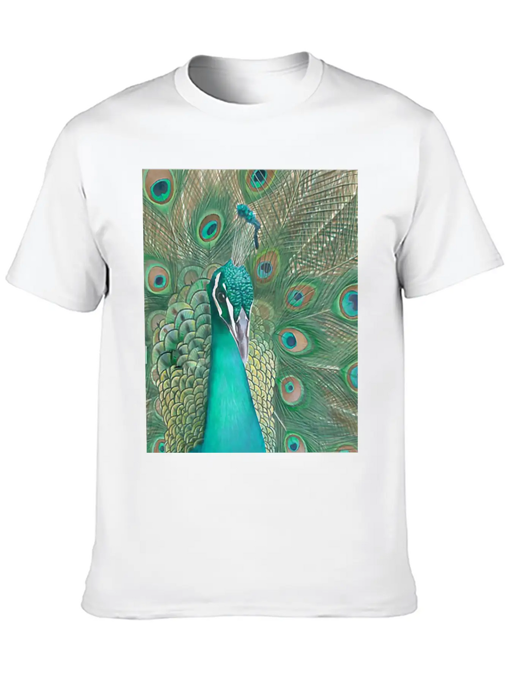 Acrylics Beautiful Birds Classic Crew Neck Graphic Tee – Everyday Minimal Look