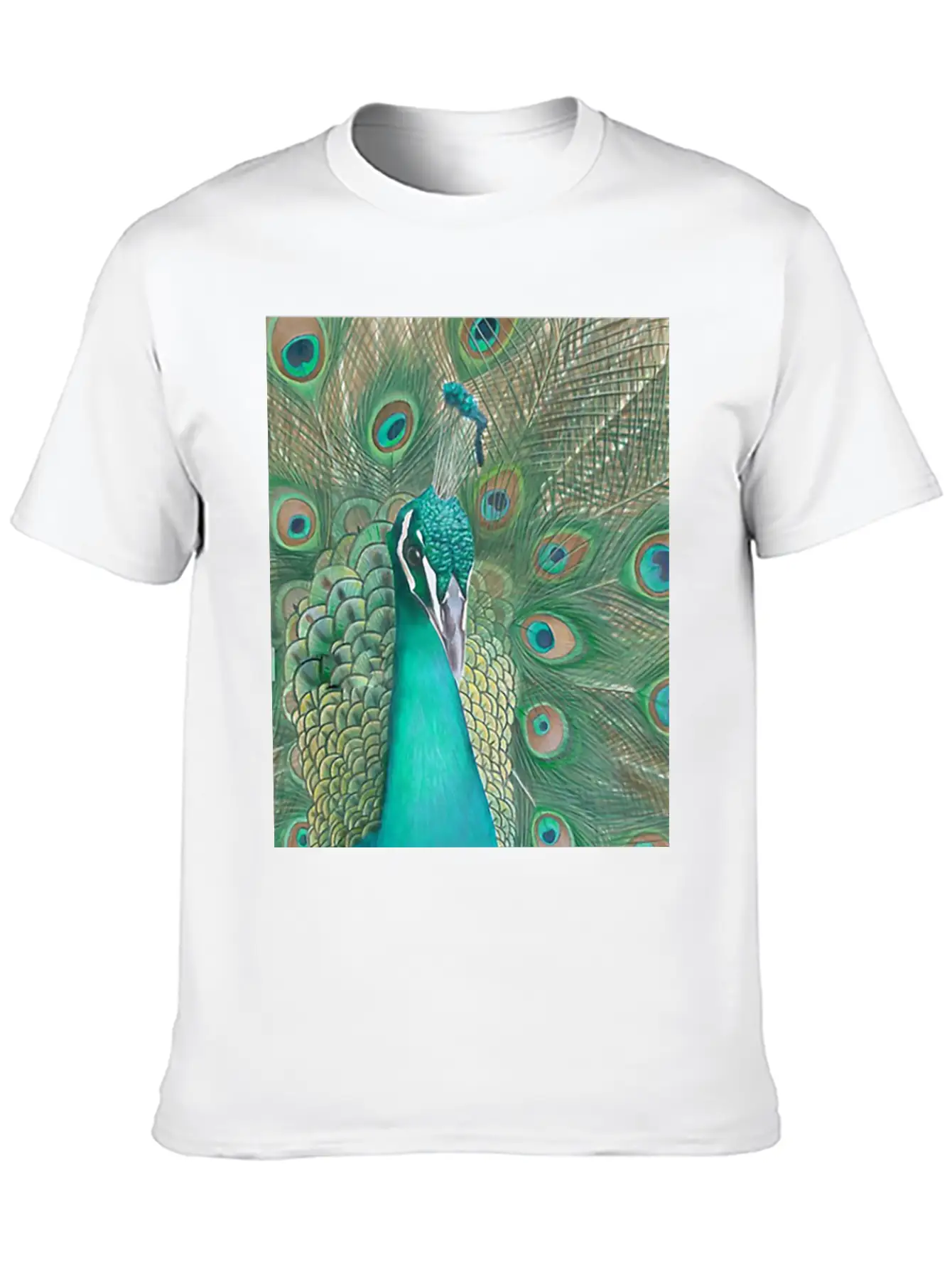 Acrylics Beautiful Birds Classic Crew Neck Graphic Tee – Everyday Minimal Look