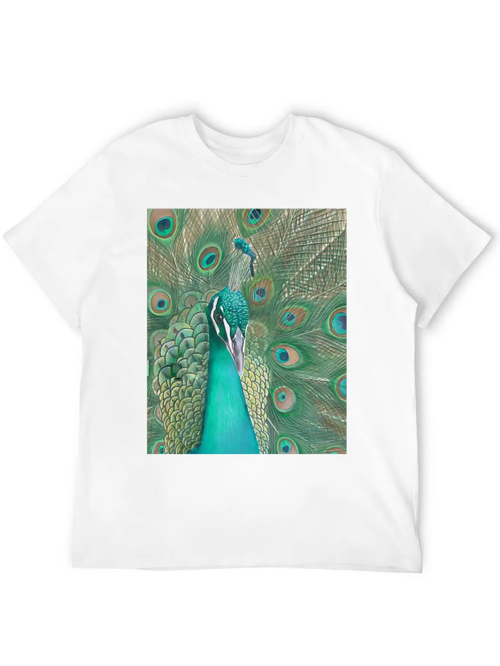 Acrylics Beautiful Birds Classic Crew Neck Graphic Tee – Everyday Minimal Look