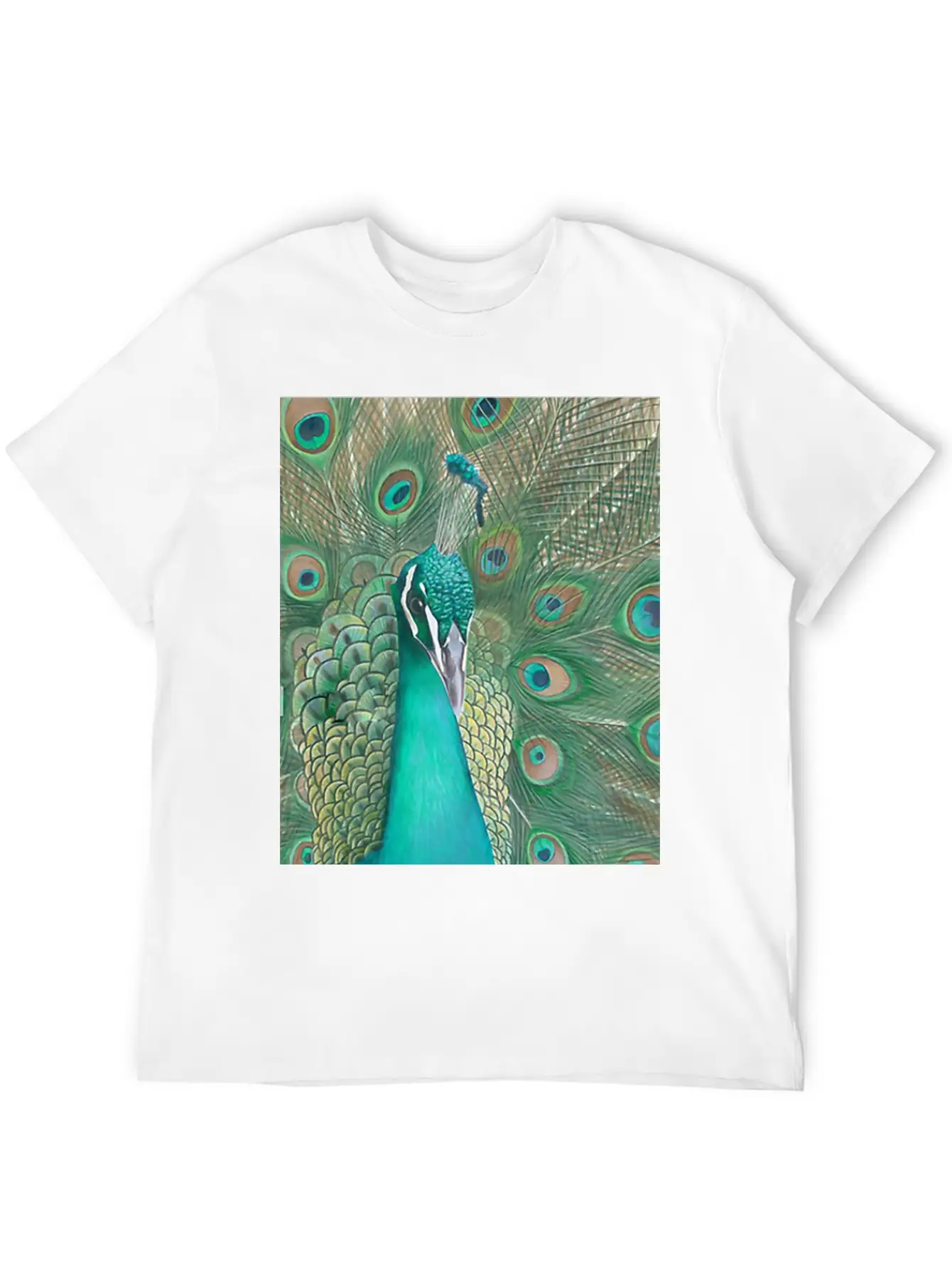 Acrylics Beautiful Birds Classic Crew Neck Graphic Tee – Everyday Minimal Look