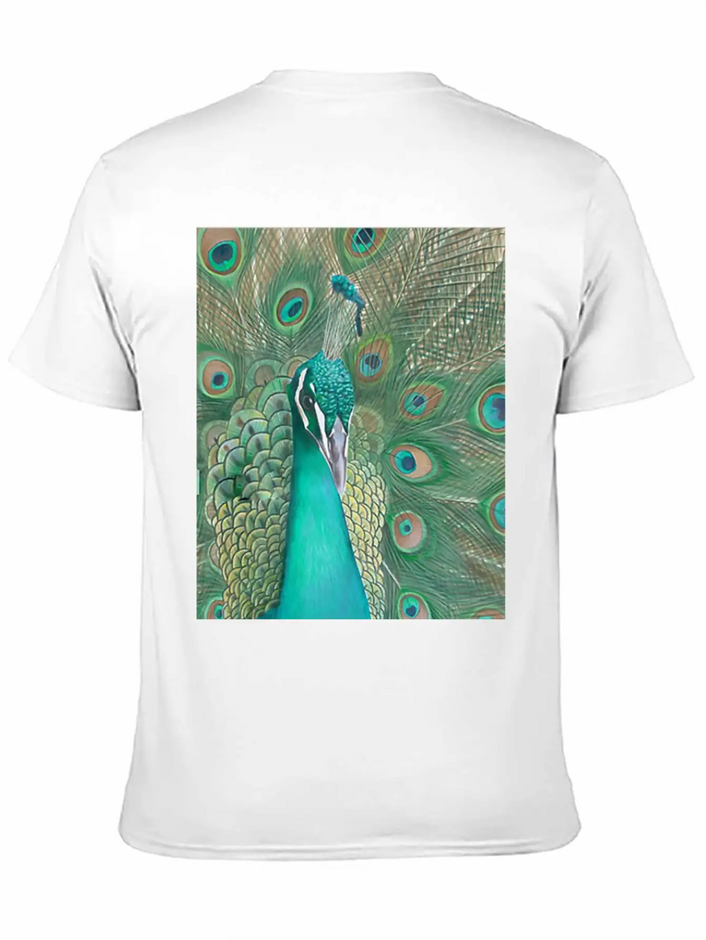 Acrylics Beautiful Birds Classic Crew Neck Graphic Tee – Everyday Minimal Look