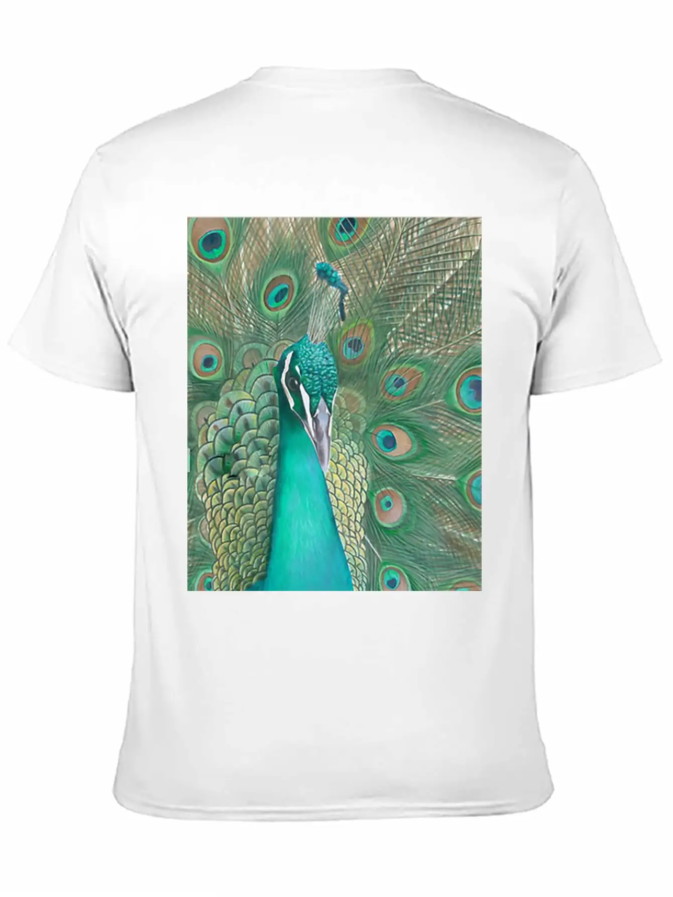 Acrylics Beautiful Birds Classic Crew Neck Graphic Tee – Everyday Minimal Look