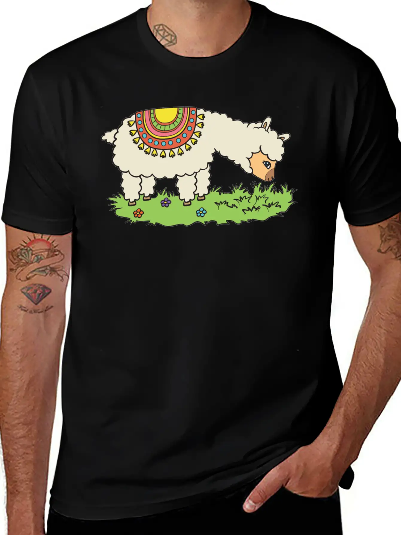 Alpaca Eats Grass On A Meadow Classic Fit Graphic Tee For Daily Comfort – Unisex Cotton Shirt