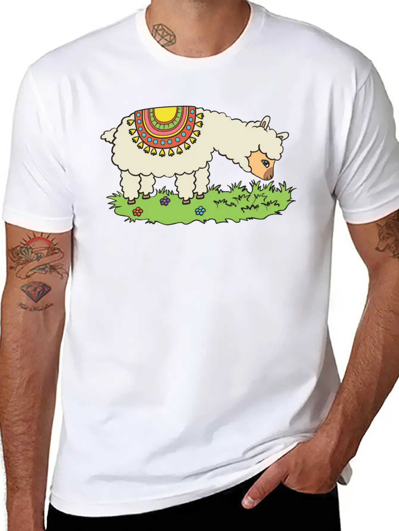 Alpaca Eats Grass On A Meadow Classic Fit Graphic Tee For Daily Comfort – Unisex Cotton Shirt