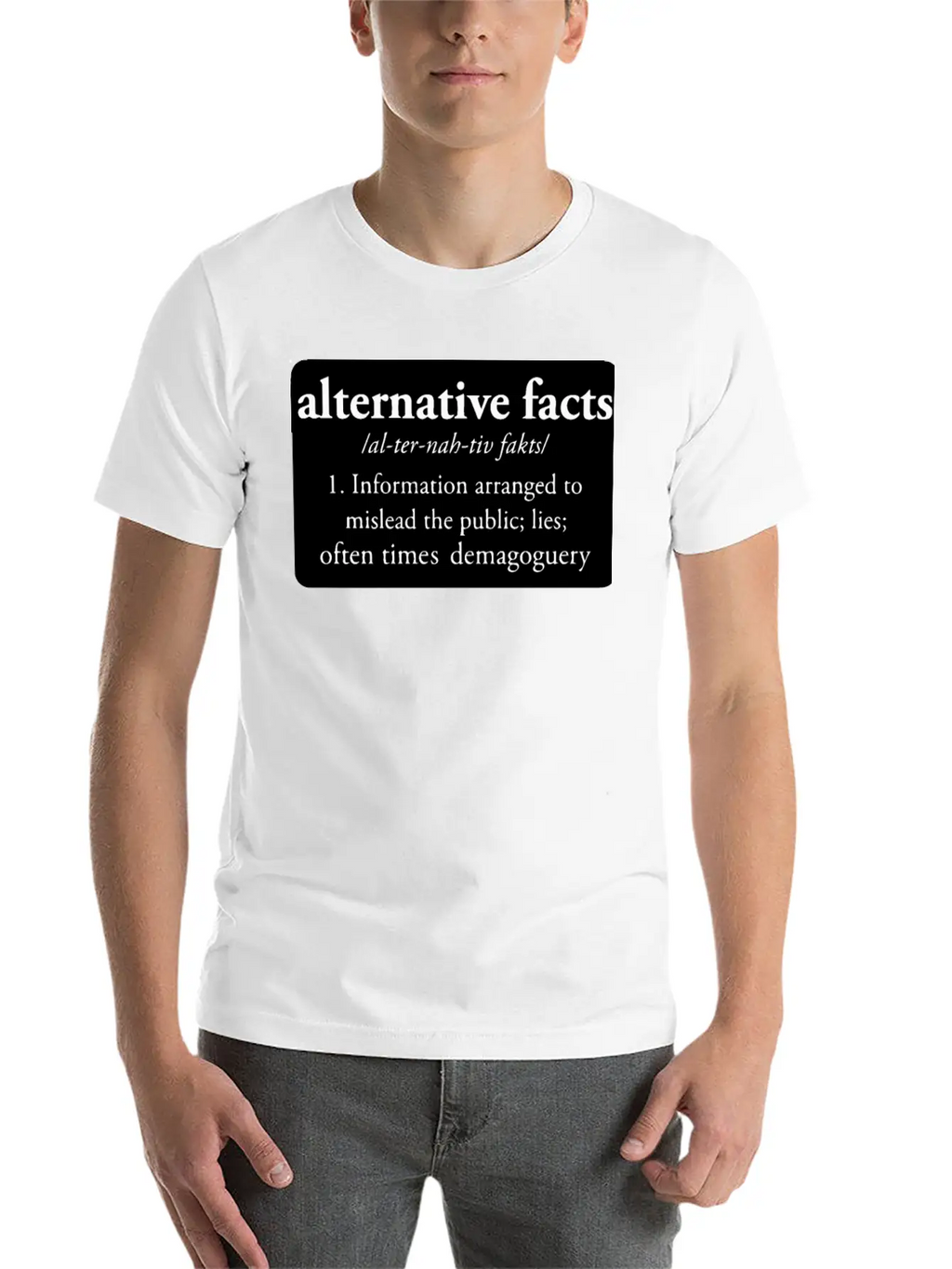 Alternative Facts Bumper Classic Crew Neck Graphic Tee – Everyday Minimal Look