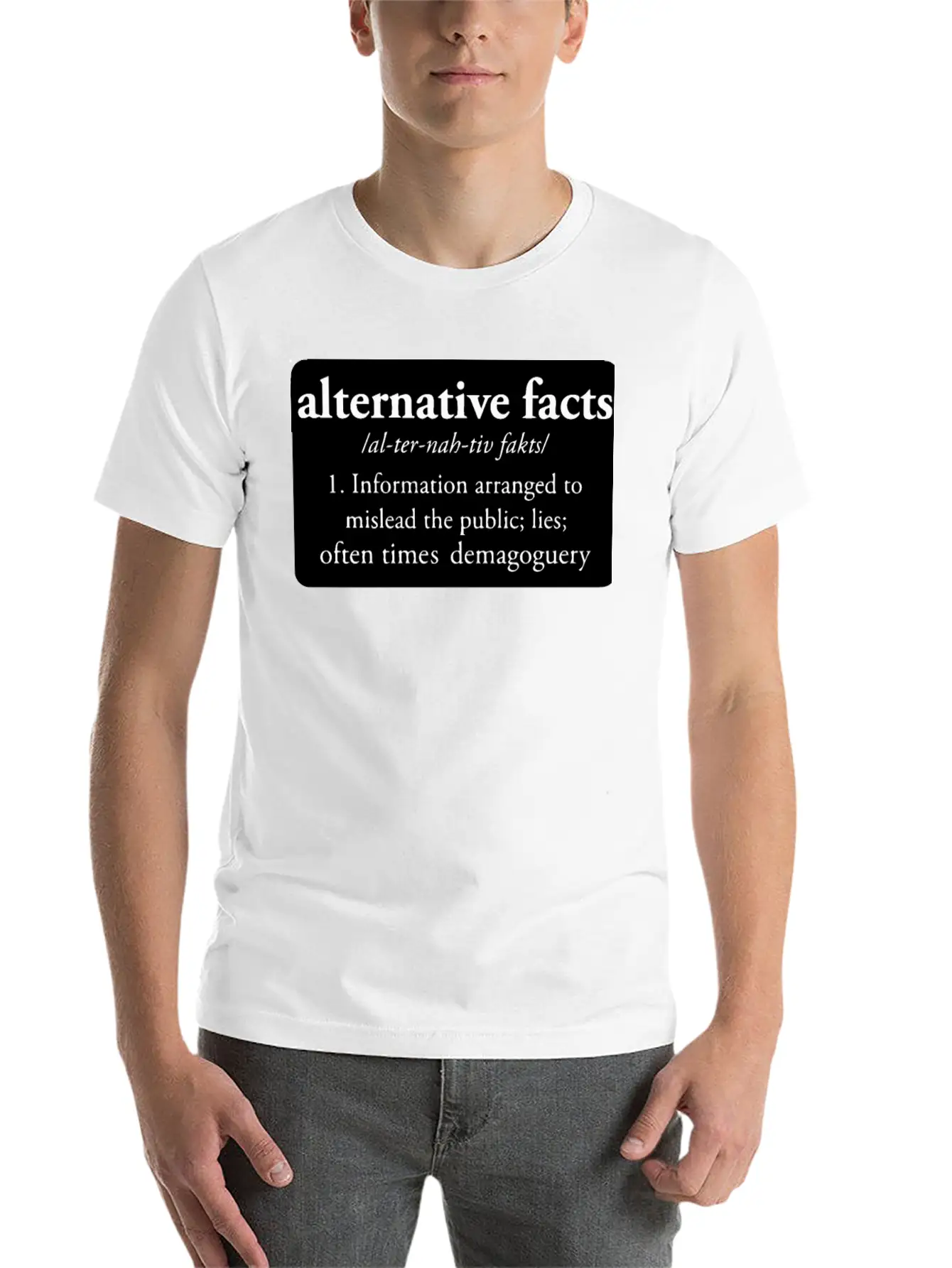 Alternative Facts Bumper Classic Crew Neck Graphic Tee – Everyday Minimal Look